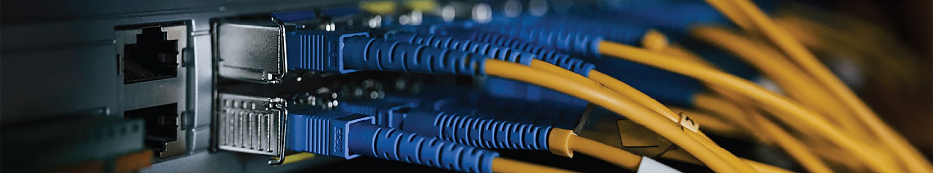 Photo of fiber cables plugged into patch panel
